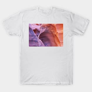 850_3776 T-Shirt